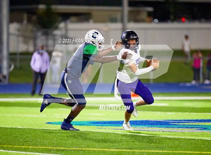 Thumbnail 3 in Spoto @ Sumner photogallery.
