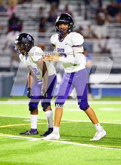 Thumbnail 1 in Spoto @ Sumner photogallery.