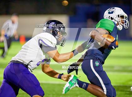 Thumbnail 1 in Spoto @ Sumner photogallery.
