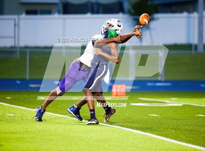 Thumbnail 3 in Spoto @ Sumner photogallery.