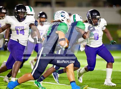 Thumbnail 2 in Spoto @ Sumner photogallery.
