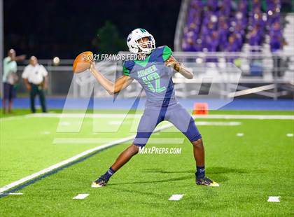 Thumbnail 1 in Spoto @ Sumner photogallery.