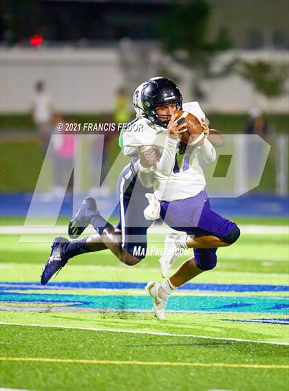 Thumbnail 2 in Spoto @ Sumner photogallery.