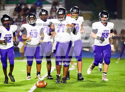 Thumbnail 1 in Spoto @ Sumner photogallery.