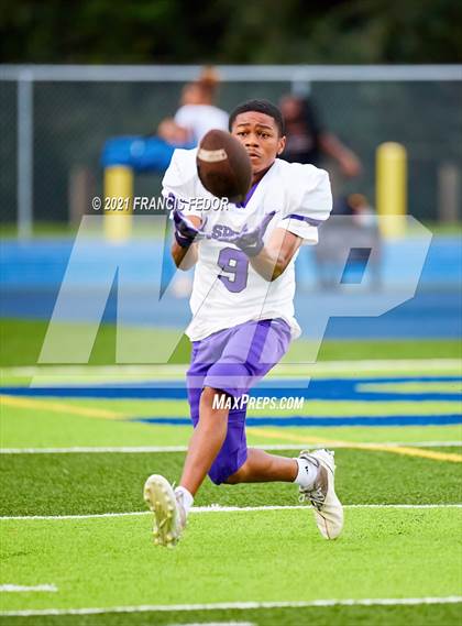 Thumbnail 3 in Spoto @ Sumner photogallery.