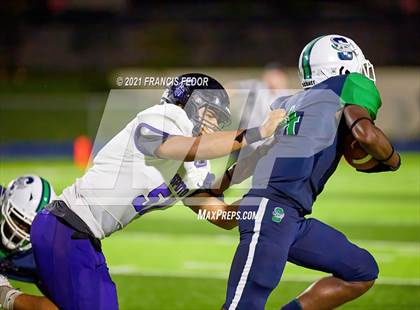 Thumbnail 3 in Spoto @ Sumner photogallery.