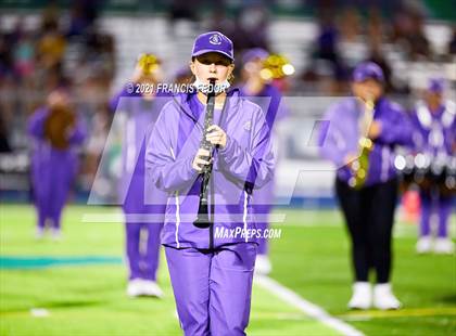 Thumbnail 1 in Spoto @ Sumner photogallery.