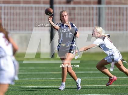 Thumbnail 2 in Chatfield @ Columbine photogallery.