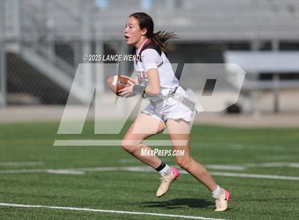 Thumbnail 2 in Chatfield @ Columbine photogallery.