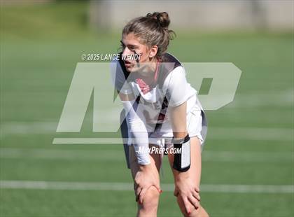 Thumbnail 1 in Chatfield @ Columbine photogallery.