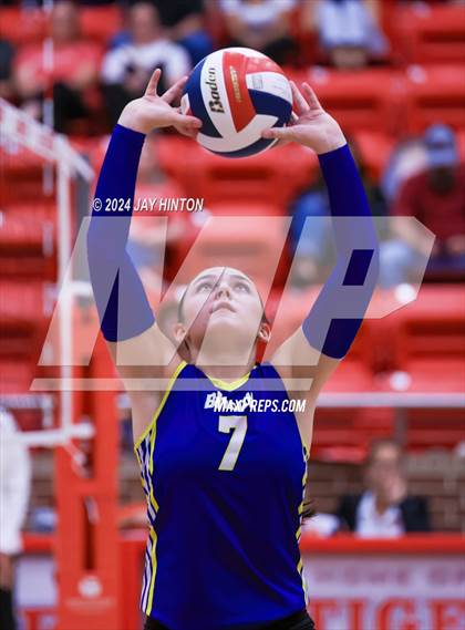 Thumbnail 1 in Brock @ Glen Rose photogallery.