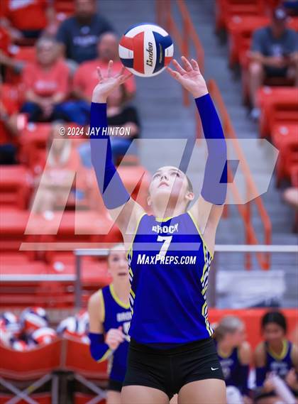 Thumbnail 1 in Brock @ Glen Rose photogallery.