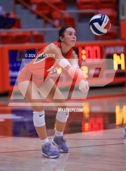 Thumbnail 1 in Brock @ Glen Rose photogallery.