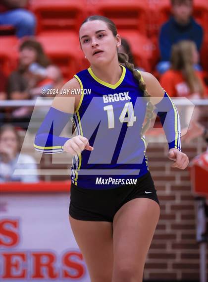 Thumbnail 1 in Brock @ Glen Rose photogallery.