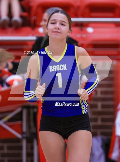 Thumbnail 1 in Brock @ Glen Rose photogallery.