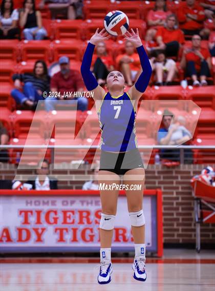 Thumbnail 1 in Brock @ Glen Rose photogallery.