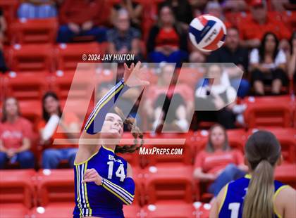 Thumbnail 1 in Brock @ Glen Rose photogallery.