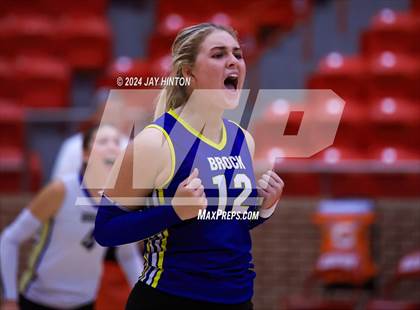 Thumbnail 1 in Brock @ Glen Rose photogallery.