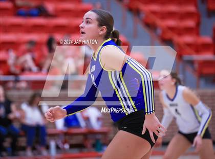 Thumbnail 3 in Brock @ Glen Rose photogallery.