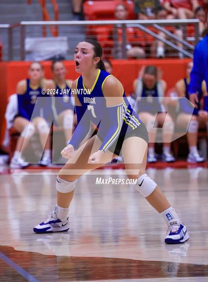 Thumbnail 1 in Brock @ Glen Rose photogallery.