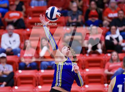 Thumbnail 2 in Brock @ Glen Rose photogallery.