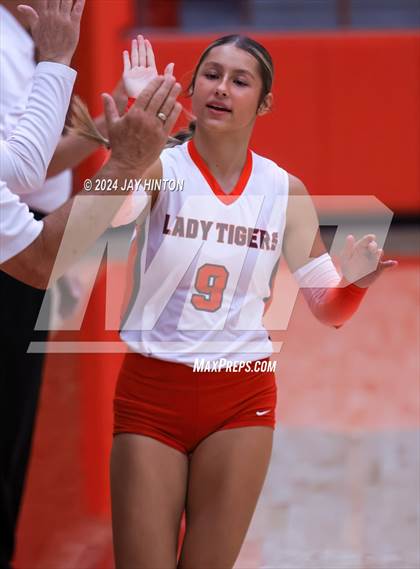 Thumbnail 1 in Brock @ Glen Rose photogallery.