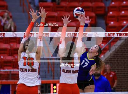 Thumbnail 1 in Brock @ Glen Rose photogallery.