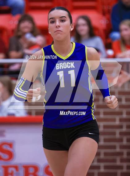 Thumbnail 2 in Brock @ Glen Rose photogallery.
