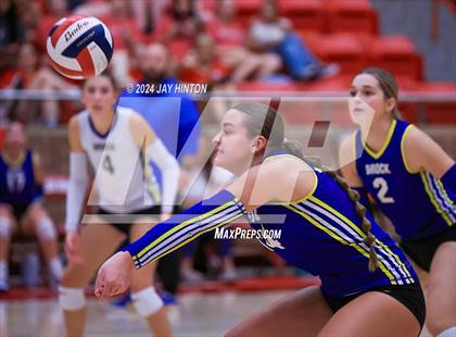 Thumbnail 2 in Brock @ Glen Rose photogallery.