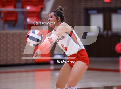 Thumbnail 1 in Brock @ Glen Rose photogallery.