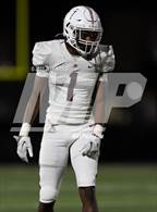 Photo from the gallery "Braden River @ Robinson"