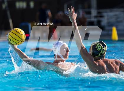 Thumbnail 1 in Sonora @ Sunny Hills photogallery.