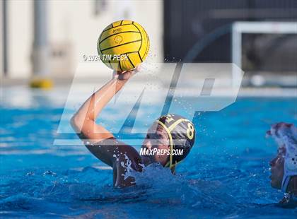 Thumbnail 1 in Sonora @ Sunny Hills photogallery.