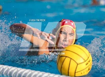 Thumbnail 2 in Sonora @ Sunny Hills photogallery.