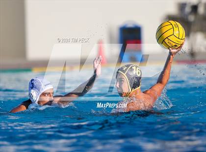 Thumbnail 1 in Sonora @ Sunny Hills photogallery.
