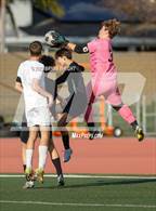 Photo from the gallery "Quartz Hill @ El Dorado"