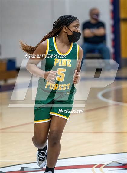 Thumbnail 3 in Pine Forest @ Terry Sanford photogallery.