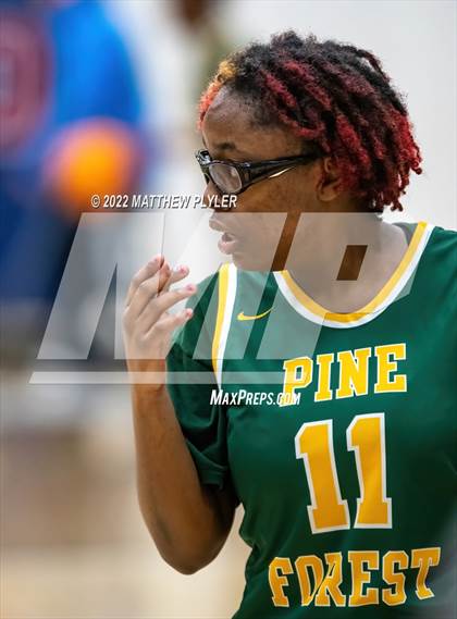 Thumbnail 2 in Pine Forest @ Terry Sanford photogallery.