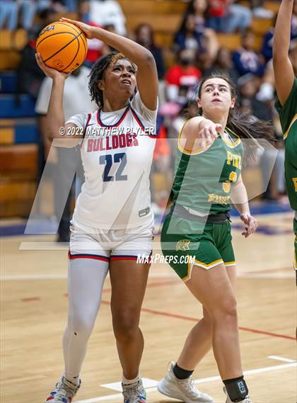 Thumbnail 3 in Pine Forest @ Terry Sanford photogallery.