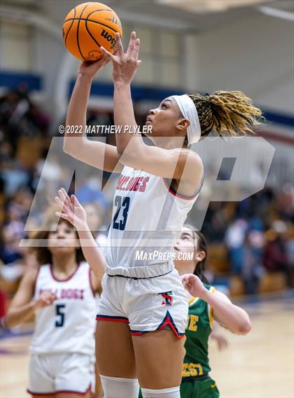 Thumbnail 1 in Pine Forest @ Terry Sanford photogallery.