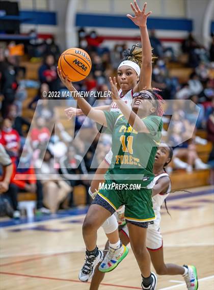 Thumbnail 3 in Pine Forest @ Terry Sanford photogallery.