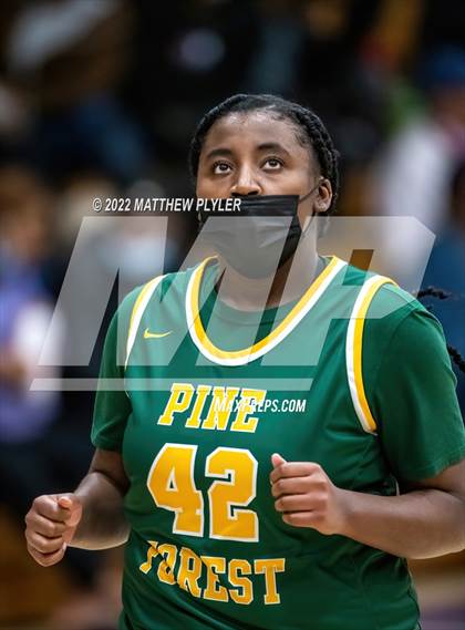 Thumbnail 3 in Pine Forest @ Terry Sanford photogallery.