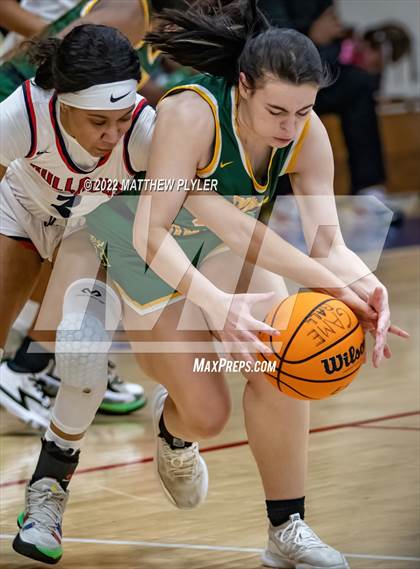 Thumbnail 3 in Pine Forest @ Terry Sanford photogallery.