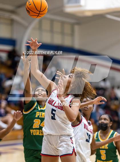 Thumbnail 1 in Pine Forest @ Terry Sanford photogallery.