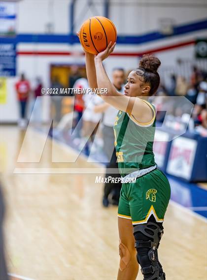 Thumbnail 3 in Pine Forest @ Terry Sanford photogallery.