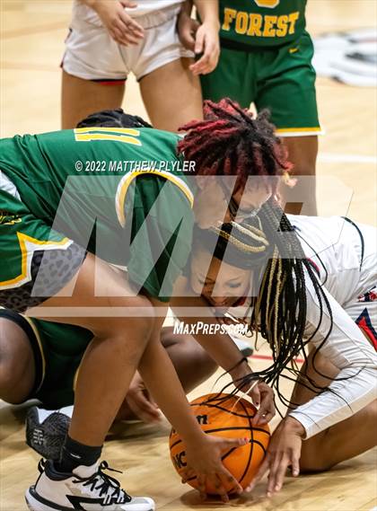 Thumbnail 1 in Pine Forest @ Terry Sanford photogallery.