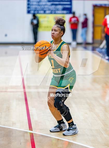 Thumbnail 2 in Pine Forest @ Terry Sanford photogallery.
