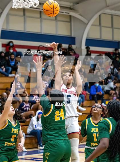 Thumbnail 3 in Pine Forest @ Terry Sanford photogallery.