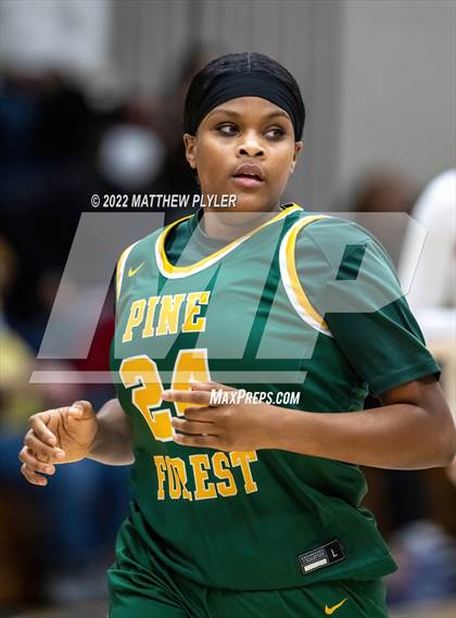 Thumbnail 1 in Pine Forest @ Terry Sanford photogallery.