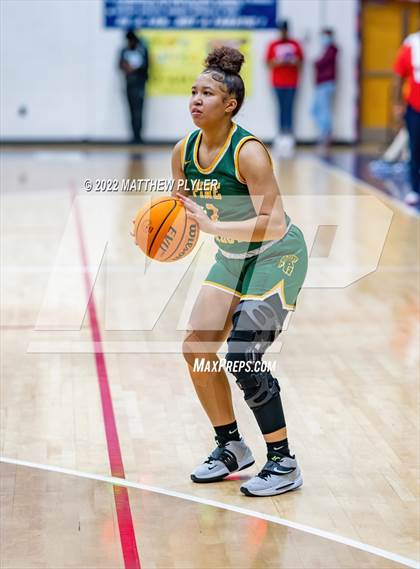 Thumbnail 1 in Pine Forest @ Terry Sanford photogallery.